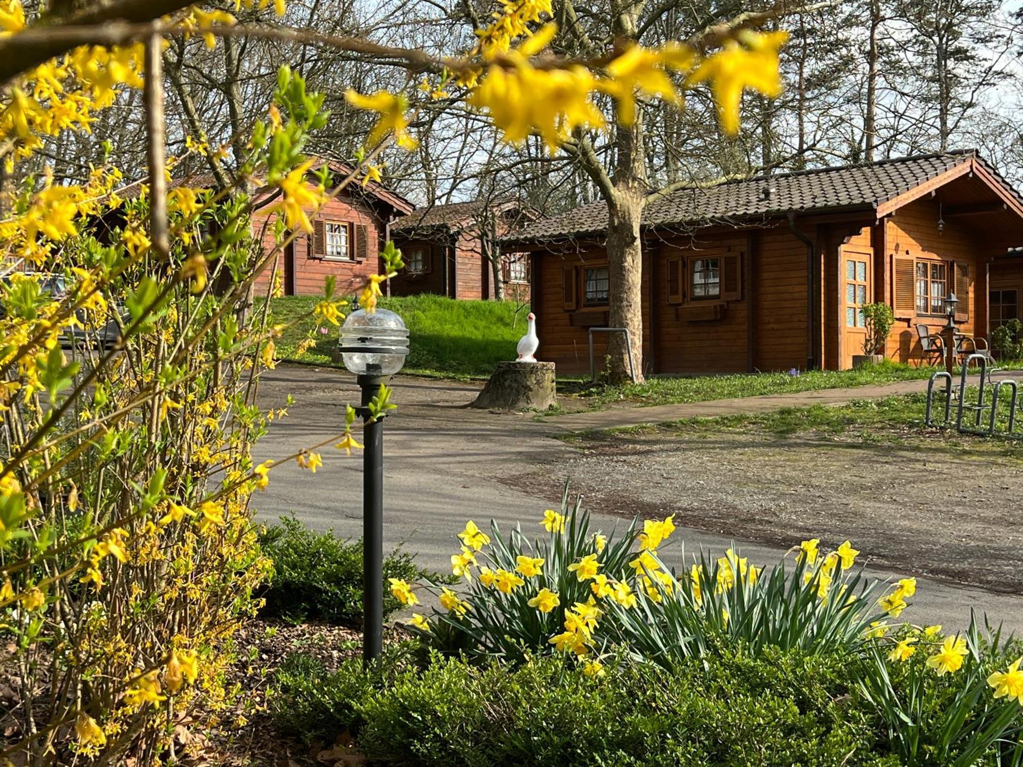 Landgasthof Gaensberg Wiesloch Exterior foto